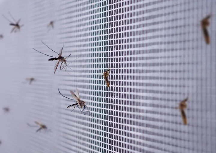 Detail eines Insektenschutz-Schiebesystems an einer Terrassentür